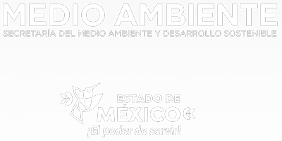 SIREM Estado de México
